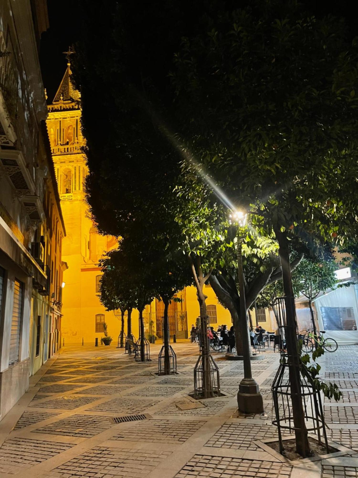 Apartamento Calle Rodrigo De Triana Con Opcion De Parking Σεβίλλη Εξωτερικό φωτογραφία